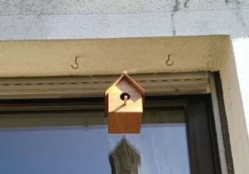 鳥舍